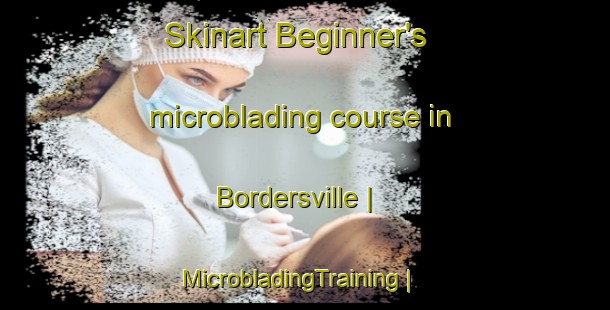 Skinart Beginner's microblading course in Bordersville | MicrobladingTraining | MicrobladingClasses | SkinartTraining-United States